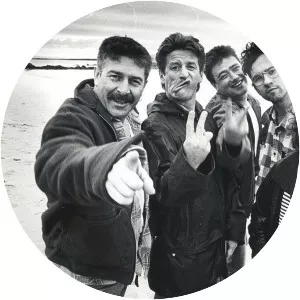 The Saw Doctors - Rock band