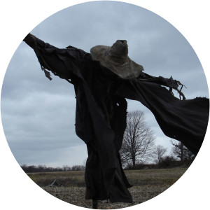 The Scarecrow Murders