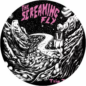 The Screaming Fly - Musical group