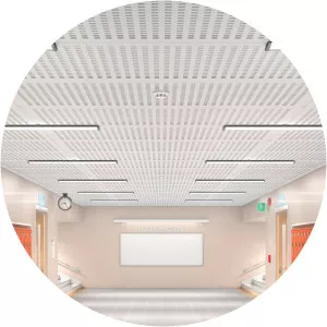 The Secret History of a School - TV program