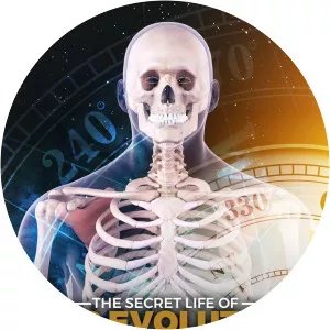 The Secret History of Our Evolution - TV program