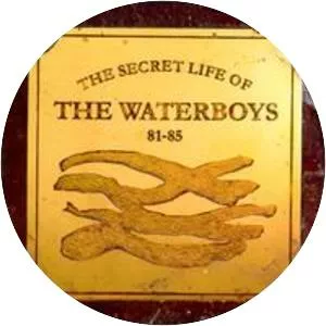 The Secret Life of the Waterboys 81–85