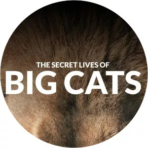 The Secret Lives of Big Cats - TV program