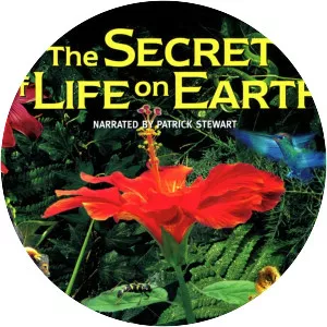 The Secret of Life on Earth: IMAX - 1993 ‧ Documentary ‧ 42 mins