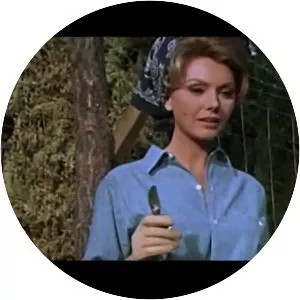 The Secret War of Harry Frigg