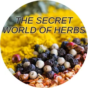 The Secret World of HerbsSince 2021