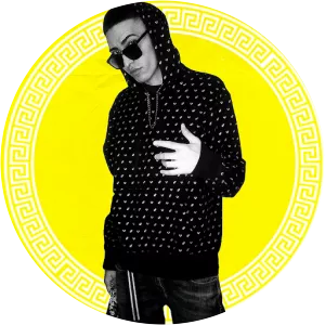 The Seler - Musical artist