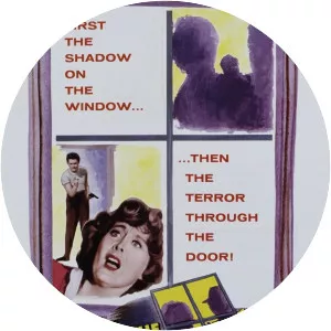 The Shadow on the Window