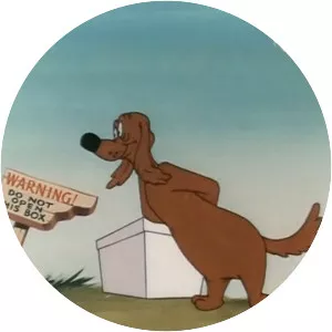 The Shell Shocked Egg