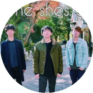 the shes gone - Musical group