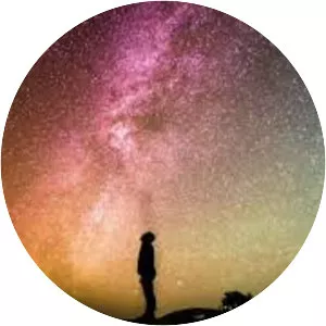 The Showfa - Musical artist