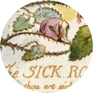 The Sick Rose - Poem by William Blake