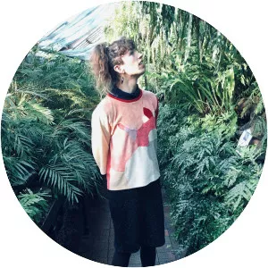 The Silver Field - Musical artist