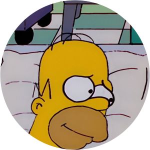 The Simpsons Homer Simpson in: 