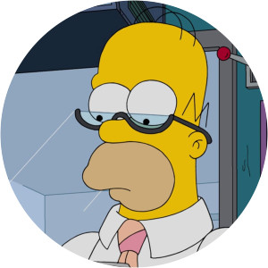 The Simpsons Kamp Krustier