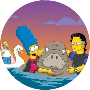 The Simpsons The Bonfire of the Manatees