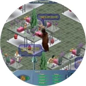 The Sims Online