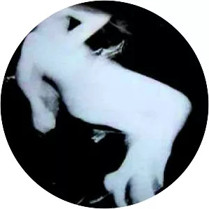 The Sleepers - San Francisco band