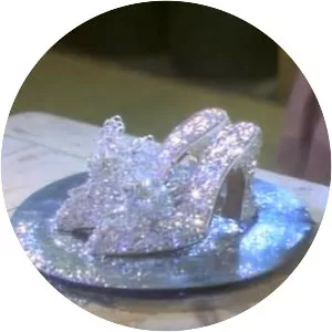 The Slipper and the Rose