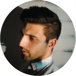 The Slow Revolt - Musical artist