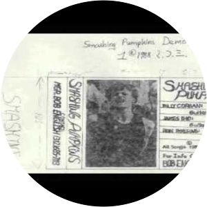 The Smashing Pumpkins Nothing Ever Changes