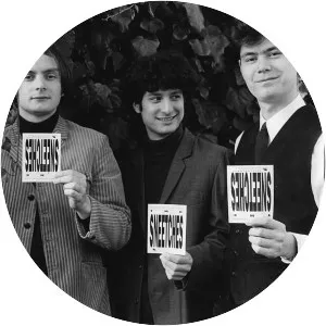 The Sneetches - Pop band