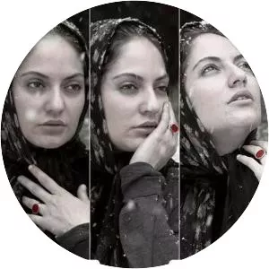 The Snow on the Pines