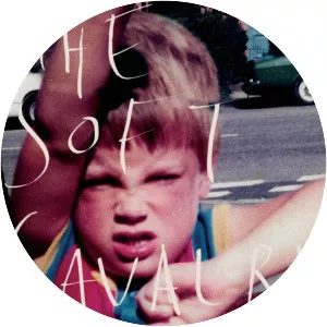 The Soft Cavalry - Musical group