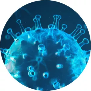 The Solutions Summit - India Vs CovidSince 2021