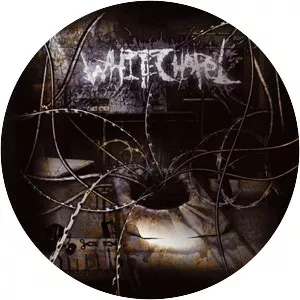 The Somatic Defilement