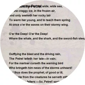 The Song of the Stormy Petrel - Poem by Maxim Gorky