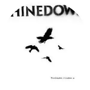 The Sound of Madness