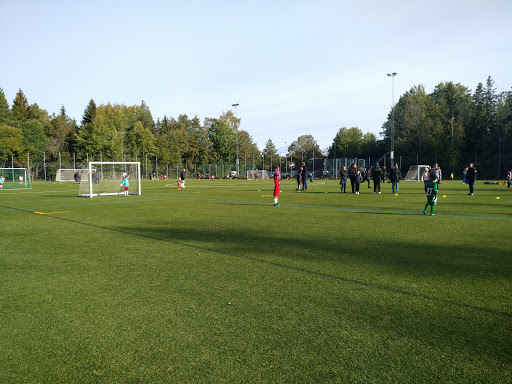 The South Forest Football Field