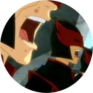 The Southern Raiders