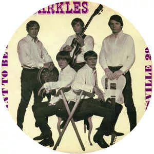 The Sparkles - Rock band