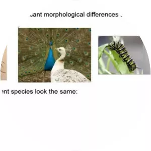 The Species Problem - Book