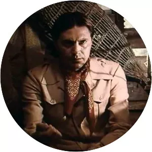 The Spider's Stratagem