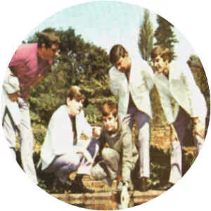 The Square Set - Rock band