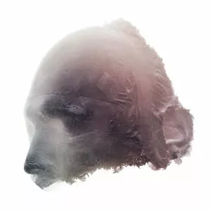 The Stargazer's Assistant