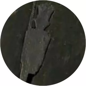 The Steadfast Tin Soldier - Fairy tale