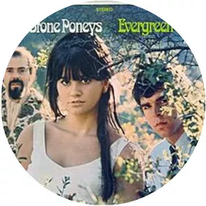 The Stone Poneys - Rock trio