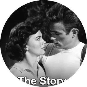 The Story of Film: An Odyssey - 2011 ‧ Documentary ‧ 15h 15m