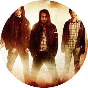 The Stranded - Musical group