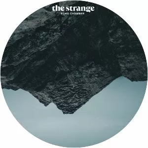 irena žilić the strange photograph