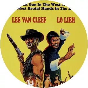 The Stranger and the Gunfighter