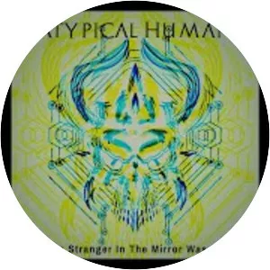 The Stranger in the Mirror - Book by Maxine Schnall