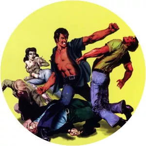 The Street Fighter's Last Revenge