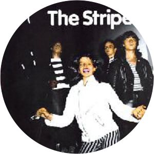 The Stripes