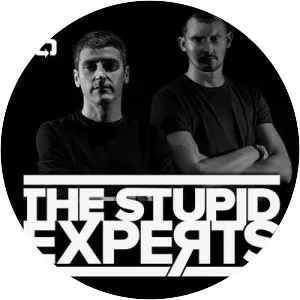 The Stupid Experts - Musical artist