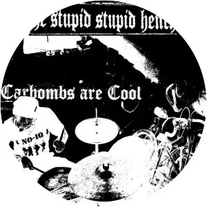 The Stupid Stupid Henchmen - Musical group